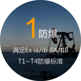 滿(mǎn)足EX ia\ib IIAIIB T1~T4防爆標(biāo)準(zhǔn)